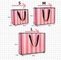 Túi giấy mỹ phẩm Pantone CMYK sọc hồng để làm quà tặng